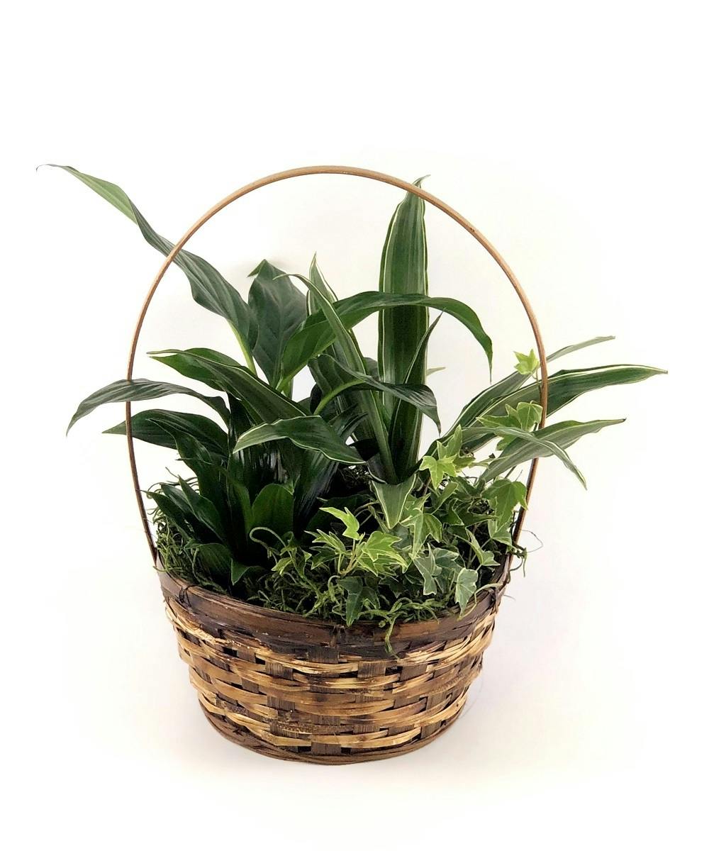 Gardens hand delivered Scottsdale Arizona florist and Chandler Mesa