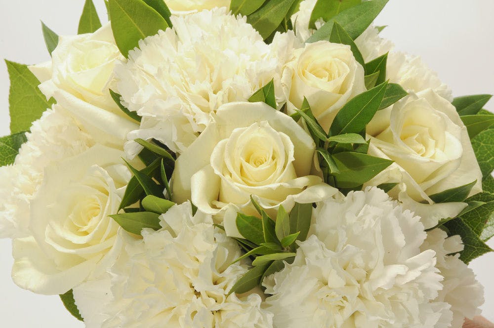 Rose & Carnation Heart Phoenix (AZ) Sympathy Delivery Phoenix