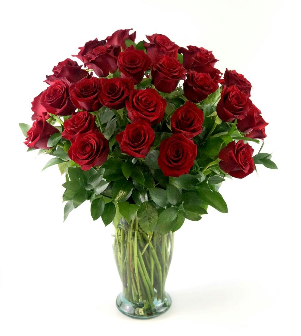 Three Dozen Red Roses, Scottsdale Arizona florist and Chandler Mesa