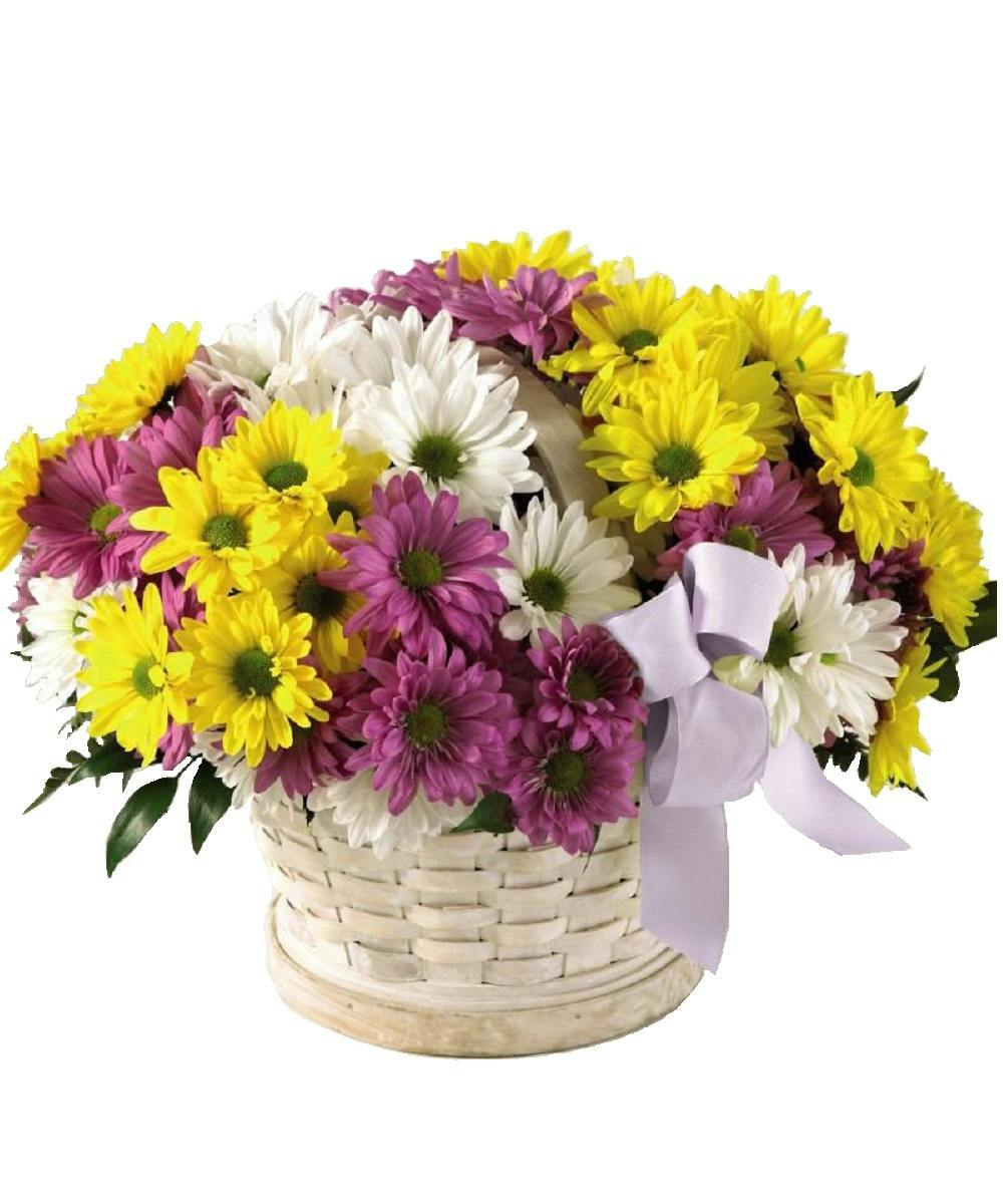 Mixed Daisies Delivered Scottsdale Arizona florist and Chandler Mesa