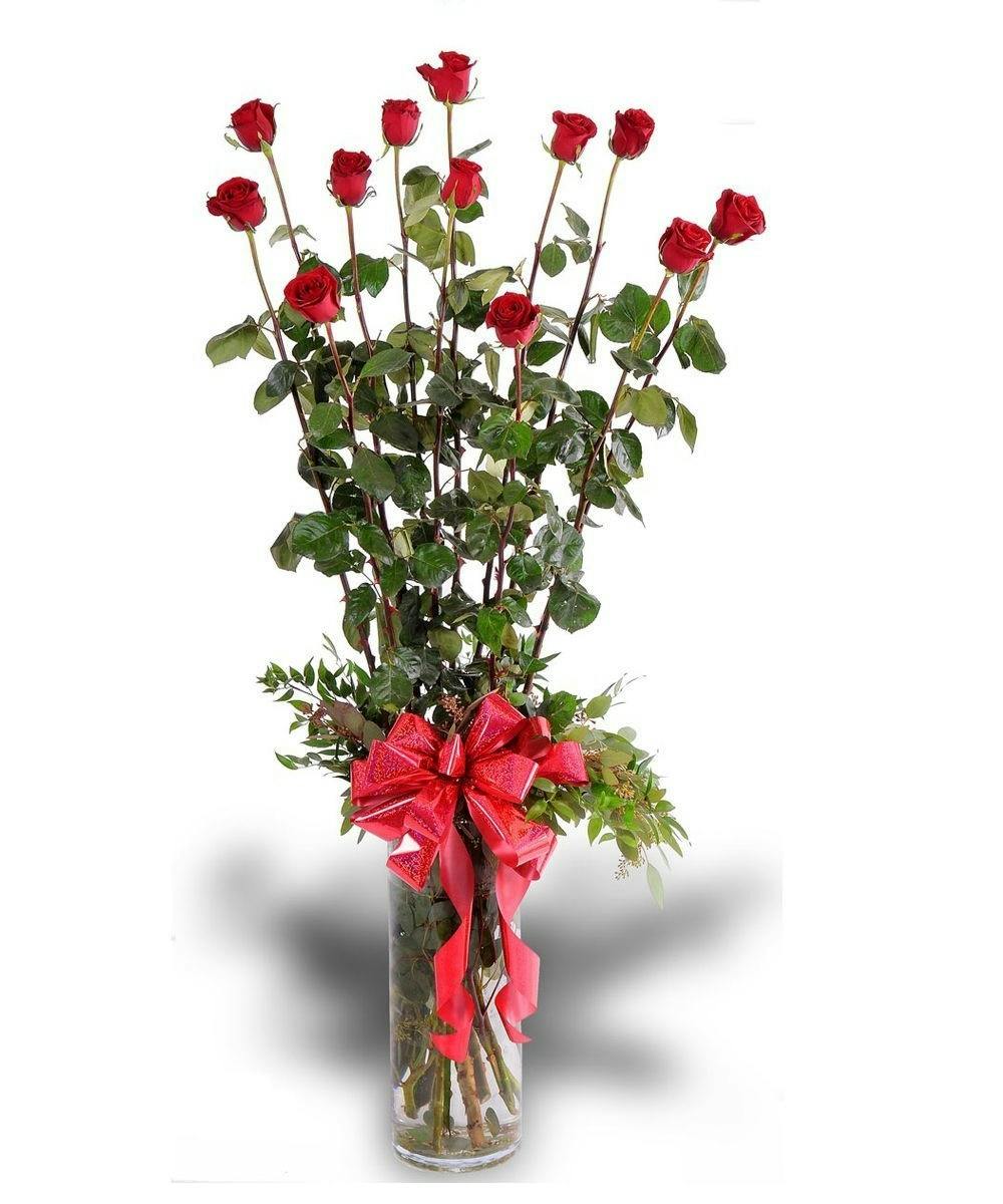 Epic Roses delivered for Valentine's Day