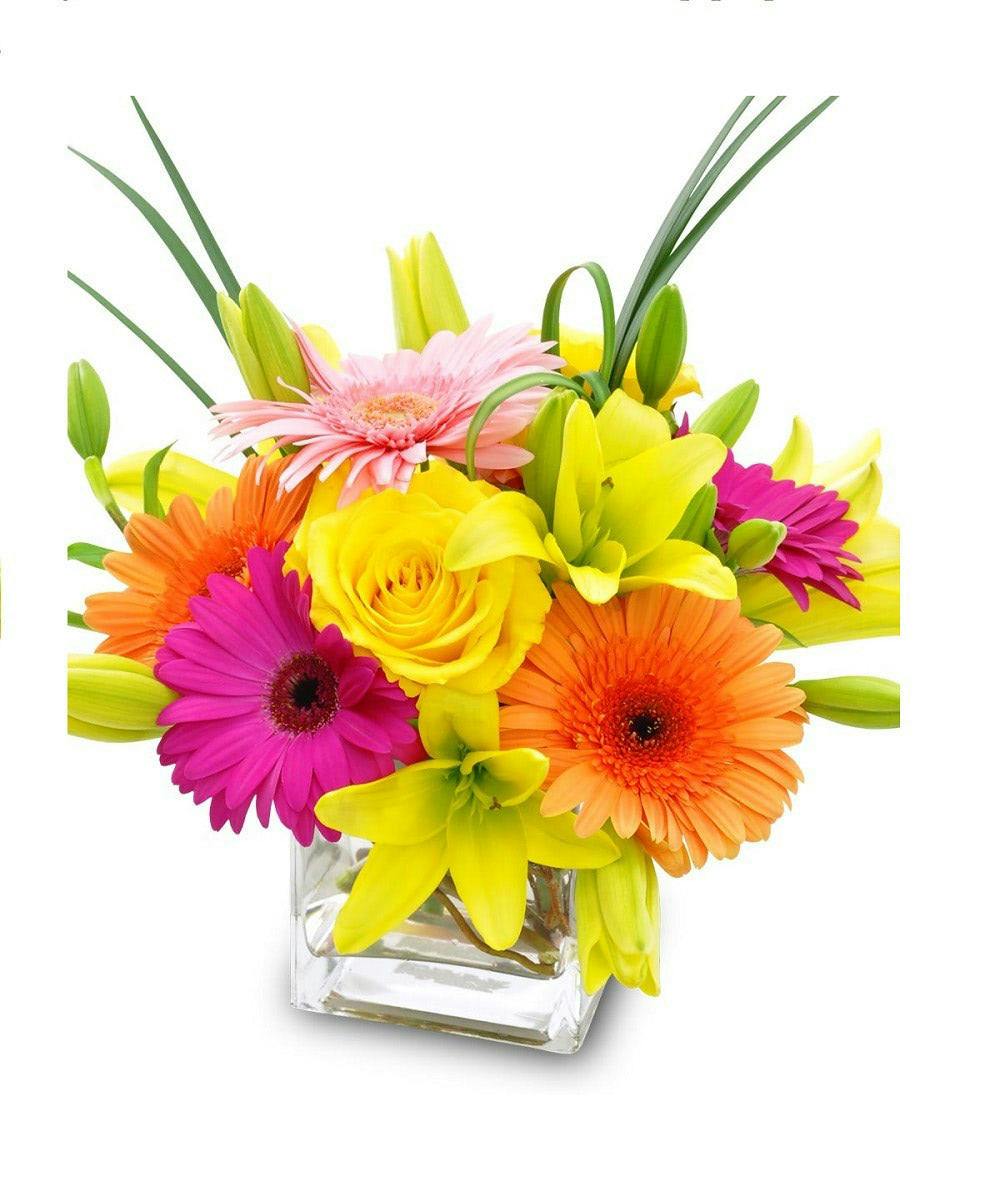 BrightandStunning Flowers Phoenix Same Day Flower Delivery