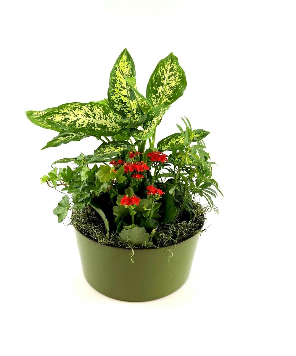 Gardens hand delivered Scottsdale Arizona florist and Chandler Mesa