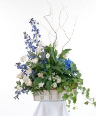 Blue & White Plants & Flowers