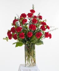 Red Carnation Vase