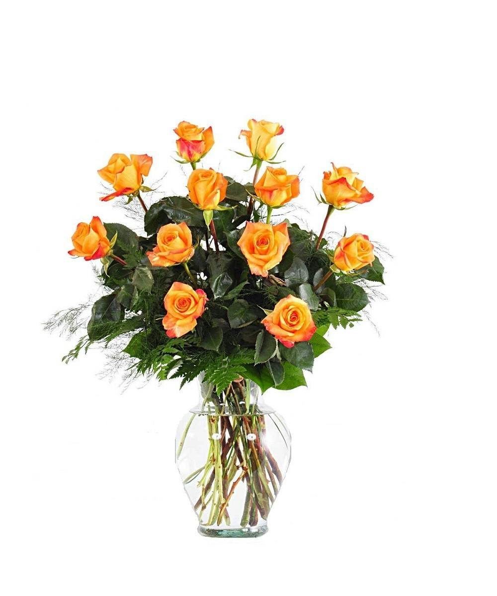 Roses Hand Delivered Scottsdale Arizona florist and Chandler Mesa Tempe Glendale Sun City West