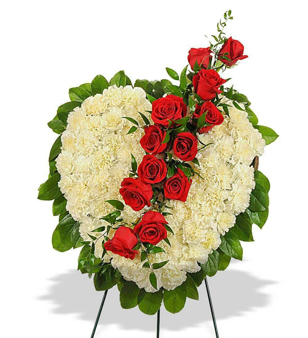 Rose & Carnation Heart Phoenix (AZ) Sympathy Delivery Phoenix