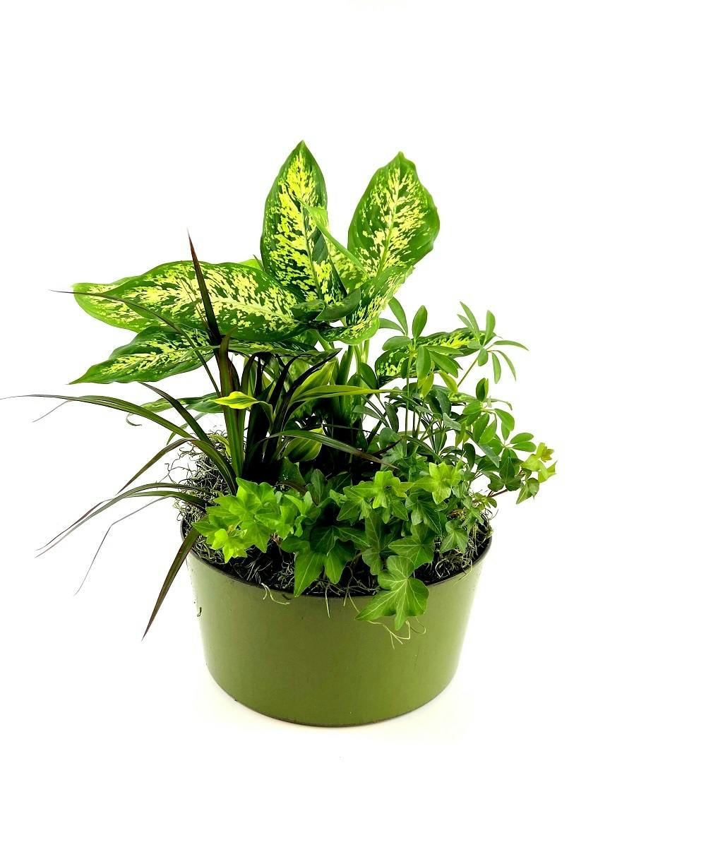 Gardens hand delivered Scottsdale Arizona florist and Chandler Mesa