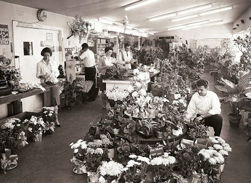 Phoenix Flower Shop History Phoenix Flower Shops